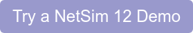 Try a NetSim 12 Demo