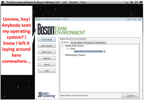 bee dot net quest