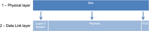 BU   1 Physical