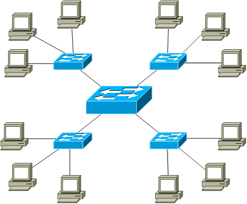 Back to the Basics: Networks and Topologies