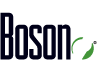 Boson Holdings Logo
