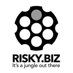 Risky-Biz-Blog-Image
